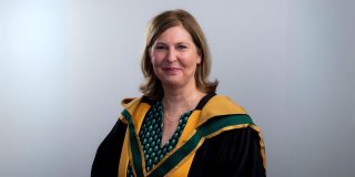 A headshot of a woman with shoulder length light brown hair, against a grey background. She is wearing the yellow and green robes of the Royal Irish Academy.