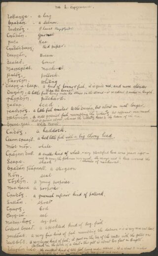 a handwritten list of Irish words with English definitions on yellowing paper