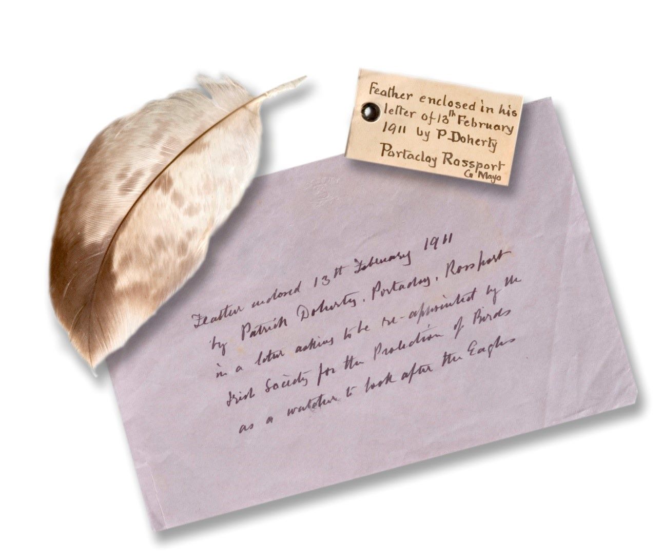 Collage composed of a golden eagle feather with a handwritten label attached and an addressed lavender-coloured envelope.