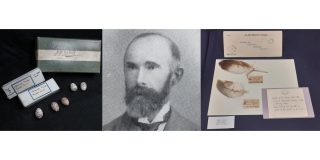 Collage of the Ussher Bird Notes collection housed in the RIA Library and a portrait of Richard J. Ussher MRIA (1841-1913).