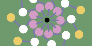 Abstract design of pink, white and yellow circles with purple lines on green background